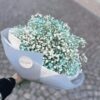 gypsomilka, doručenie kvetov, doručenie prešov, doručenie kytíc, donáška prešov, donáška kytíc, modrá gypsomilka, biela gypsomilka, baby blue gypsomilka, kytica, kvety prešov, kvetinárstvo prešov, kytica cukrová vata, kytica k narodeniu, kytica na krst, gypsophilia