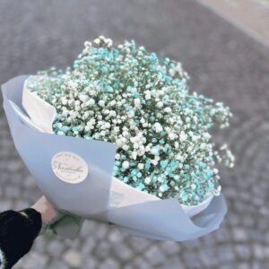 gypsomilka, doručenie kvetov, doručenie prešov, doručenie kytíc, donáška prešov, donáška kytíc, modrá gypsomilka, biela gypsomilka, baby blue gypsomilka, kytica, kvety prešov, kvetinárstvo prešov, kytica cukrová vata, kytica k narodeniu, kytica na krst, gypsophilia