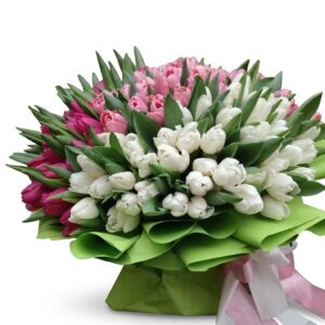 Jarná Veľkoleposť – luxusná kytica zo 150 tulipánov v ružových, bielych a fialových odtieňoch s bielou floristickou manžetou. Dovoz kvetov, dovoz kytíc Prešov a okolie, rozvoz kvetov Prešov, kvetinárstvo Prešov.